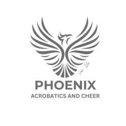 phoenixacrobatics.com